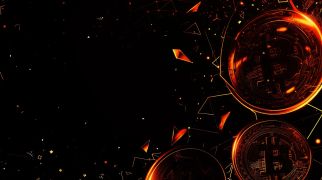 Issue #701: Update on fidelity bonds