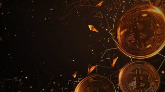 Issue #1095: People are calling BS on "transitory inflation"