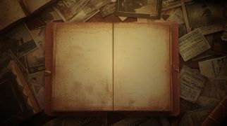 Issue #1014: Political risk in the wild