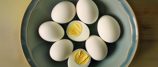 The Cholesterol Myth: 7 Reasons It's Crucial for Your Health