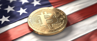 Democratic Party Omits Bitcoin from 2024 Platform