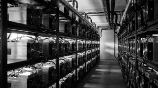Best Bitcoin Mining Hosting Companies (2026): Who to Trust With Your Miner