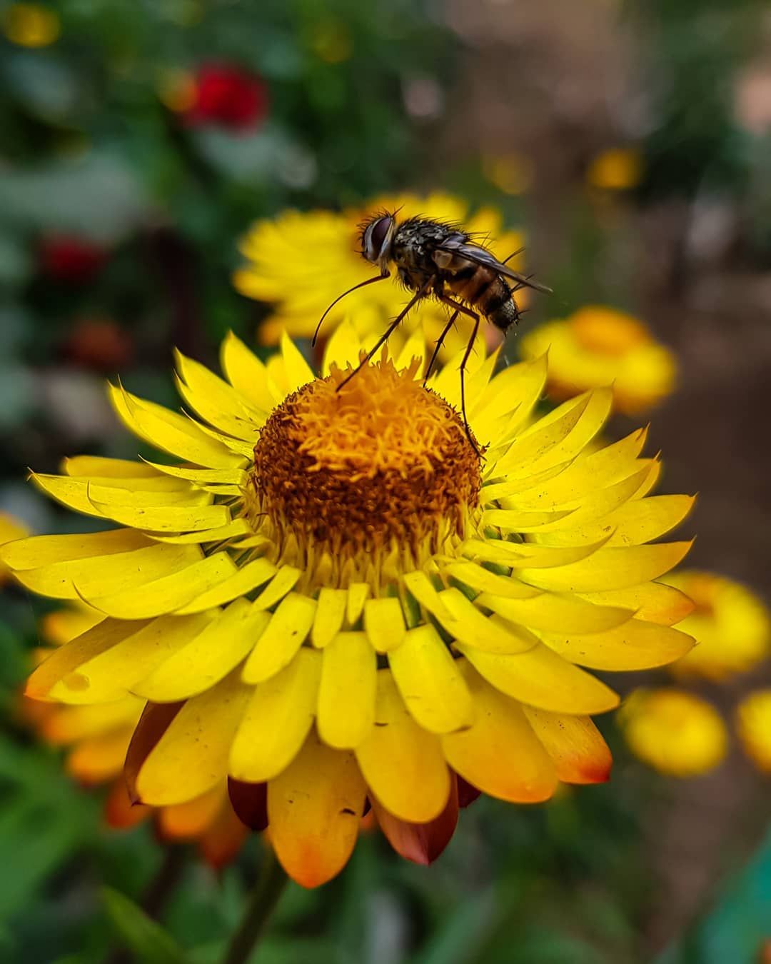 Captured with Caution..