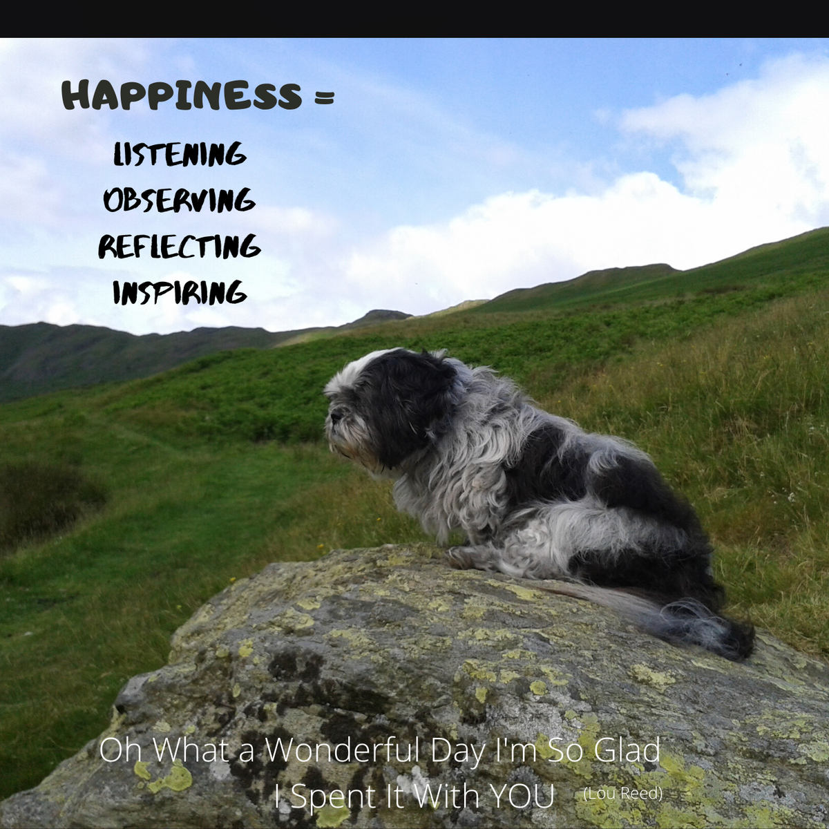 Reflections of a Beautiful Friendship