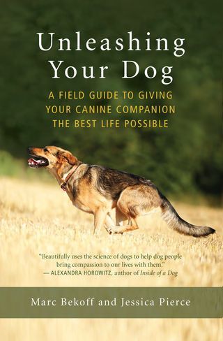 Dogs, Captivity, and Freedom: Unleash Them Whenever You Can