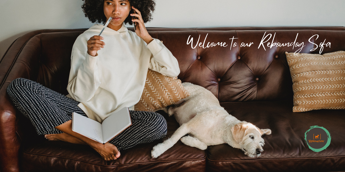 Future Dates & Guest Speakers for Reboundog Sofa Meet-ups