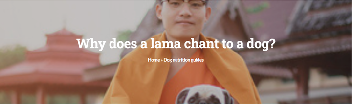 Why Does A Lama Chant To A Dog?