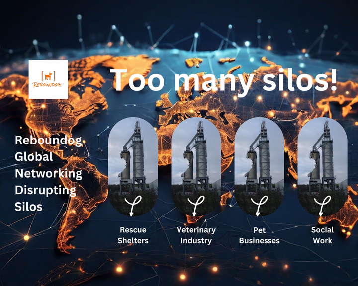 Too Many Silos & Too Few Collaborations in a Dysfunctional Ecosystem