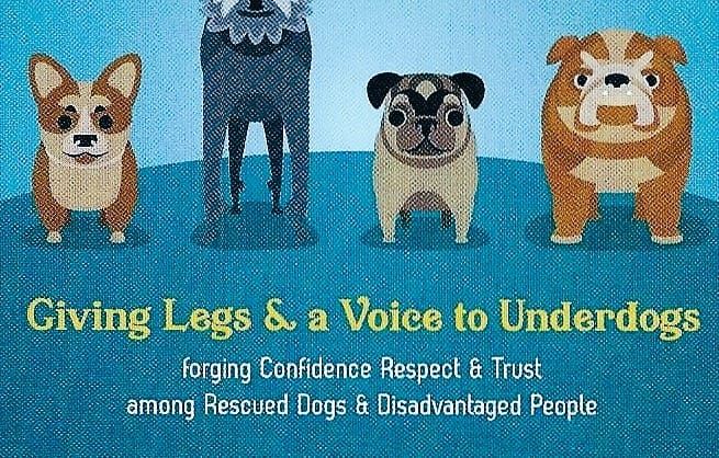 Celebrating: Reboundog is 4 years old!!!!