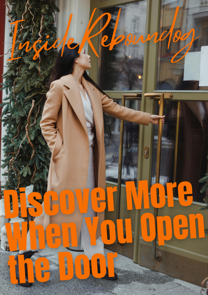 Inside Reboundog - Beyond the Scaffolding