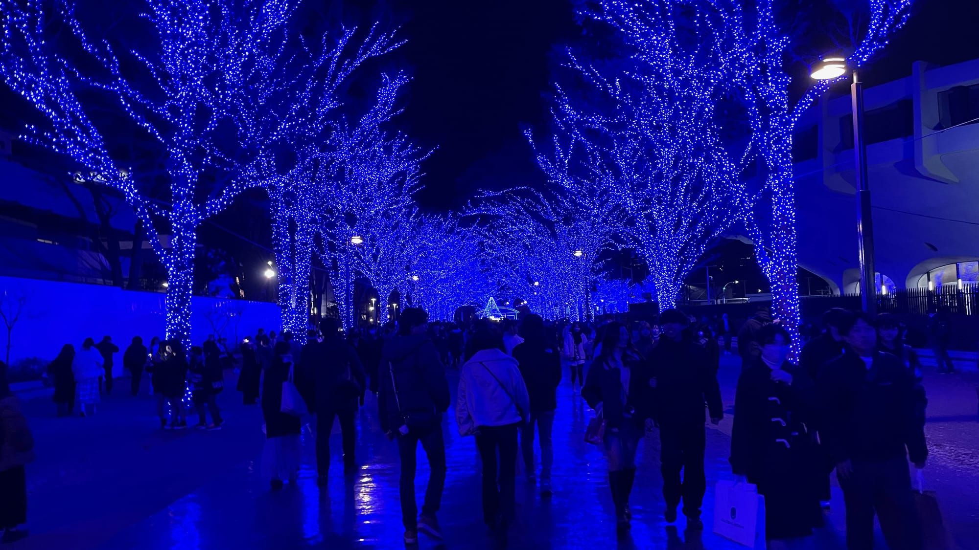 Merry Christmas 2023