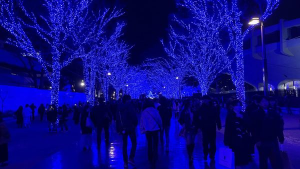 Merry Christmas 2023