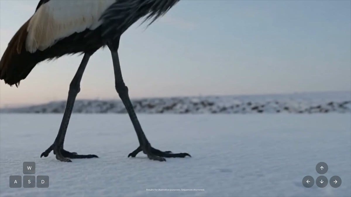Genie 4 demo: crowned crane walking across snow