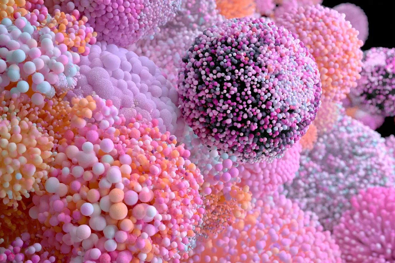 Metanova Starts Nanobody Validation With Yalotein as NOVA Expands Beyond Small Molecules