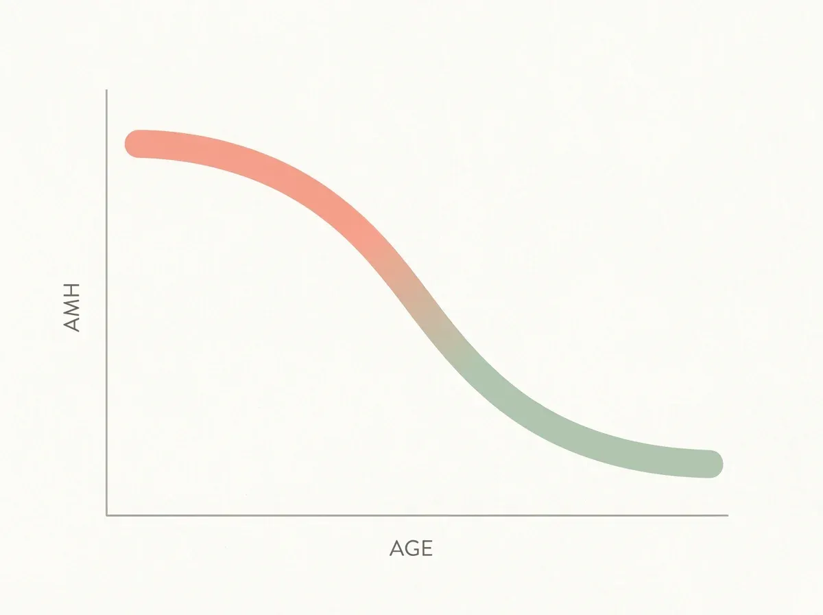 AMH levels across different ages