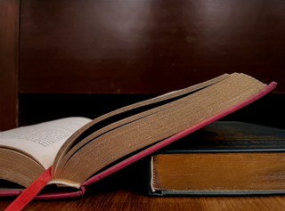 Turning the Page on Reading for Fun