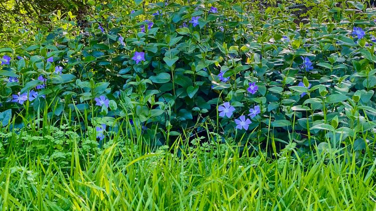 From the back flap of "A New Faith"