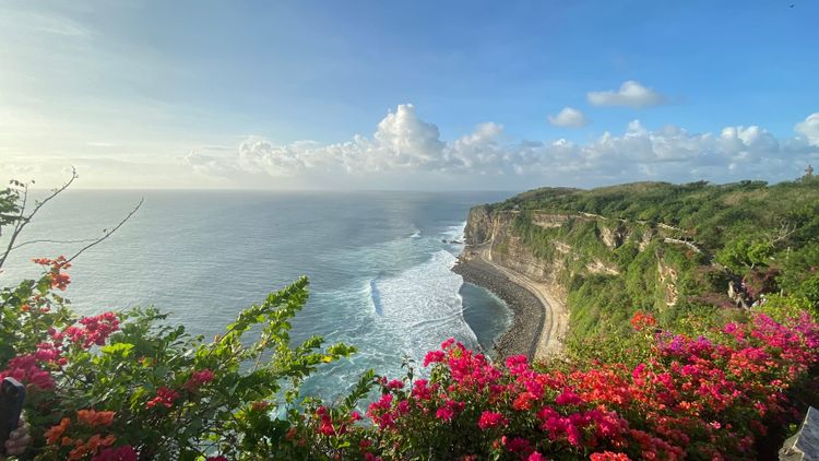 SEQUOIA - script of an audio play