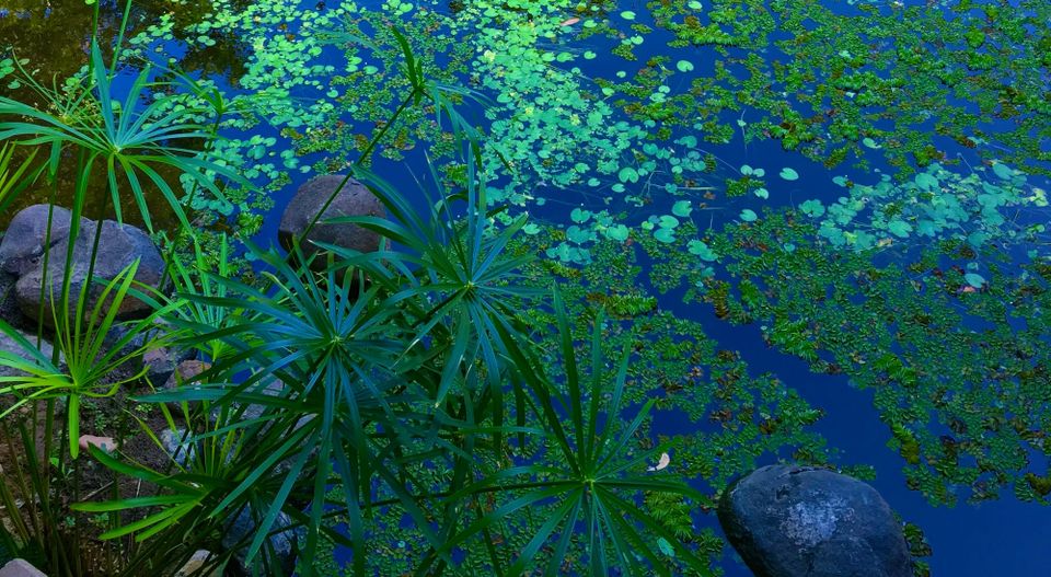 A New Faith: Part 1: Chapter 10