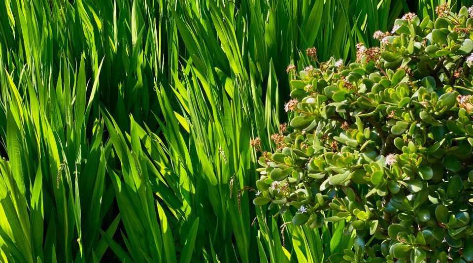 A New Faith: Part 1: Chapter 12