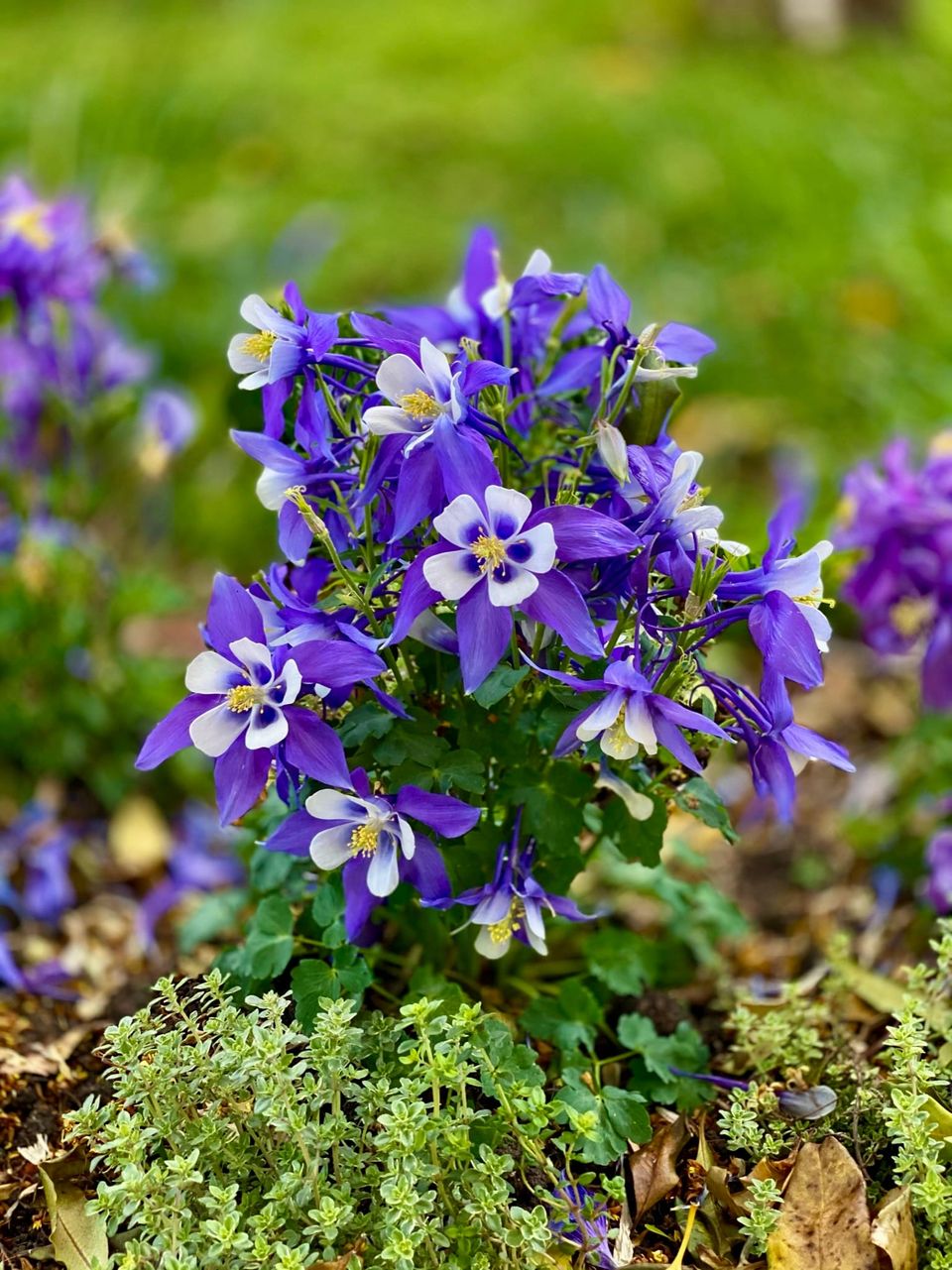 A New Faith: Part 3: Chapter 36