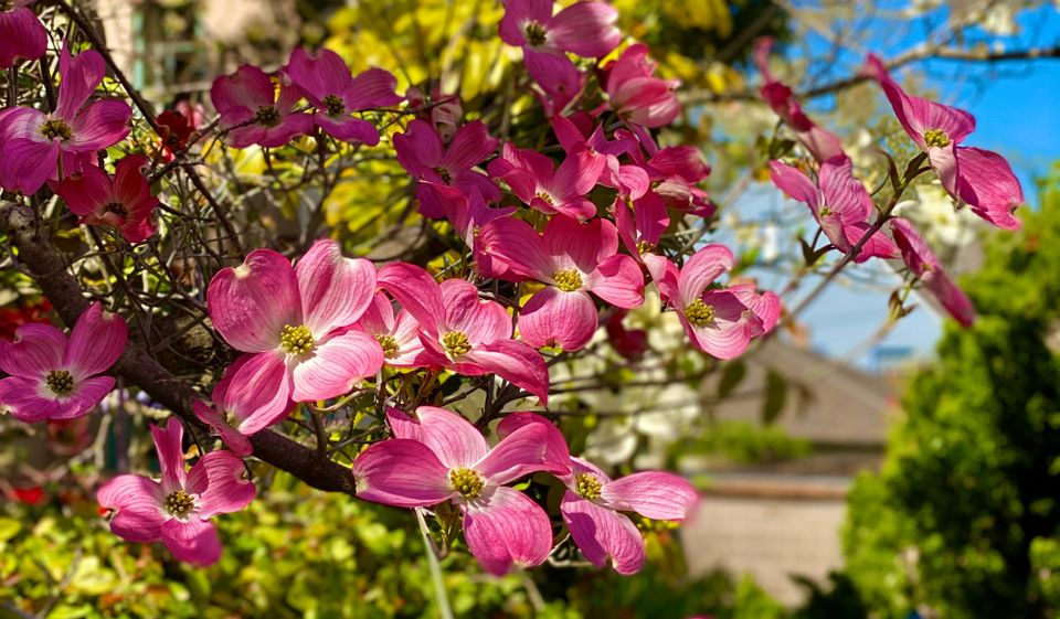 A New Faith: Part 1: Chapter 14