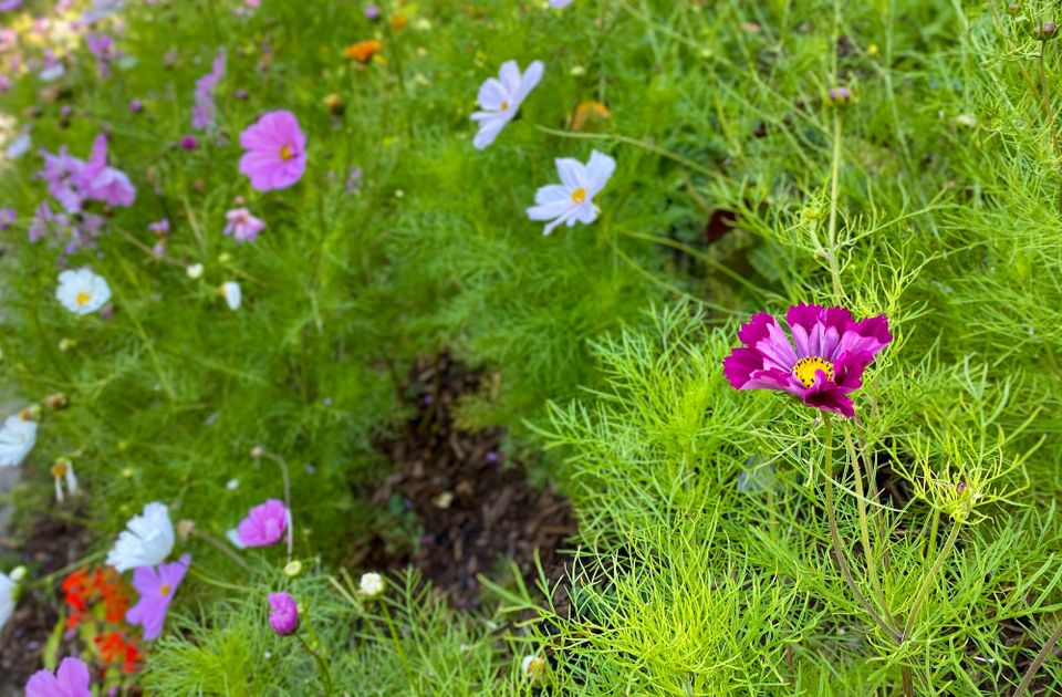 A New Faith: Part 2: Chapter 17