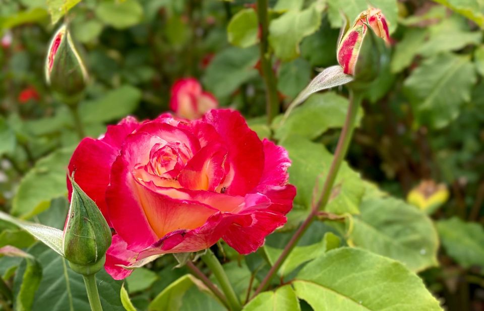 A New Faith: Part 2: Chapter 18