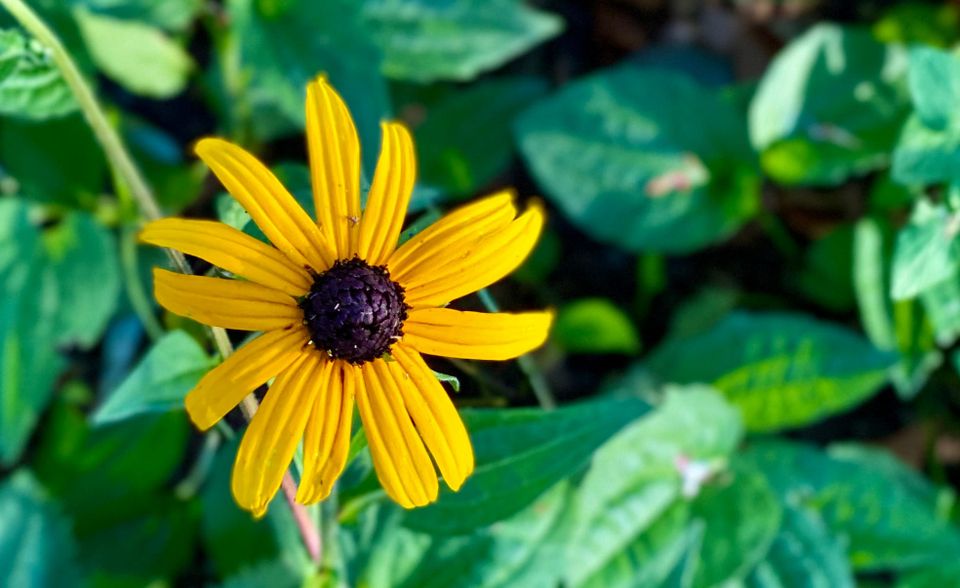 A New Faith: Part 2: Chapter 23