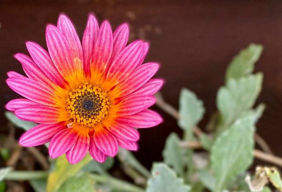 A New Faith: Part 2: Chapter 20