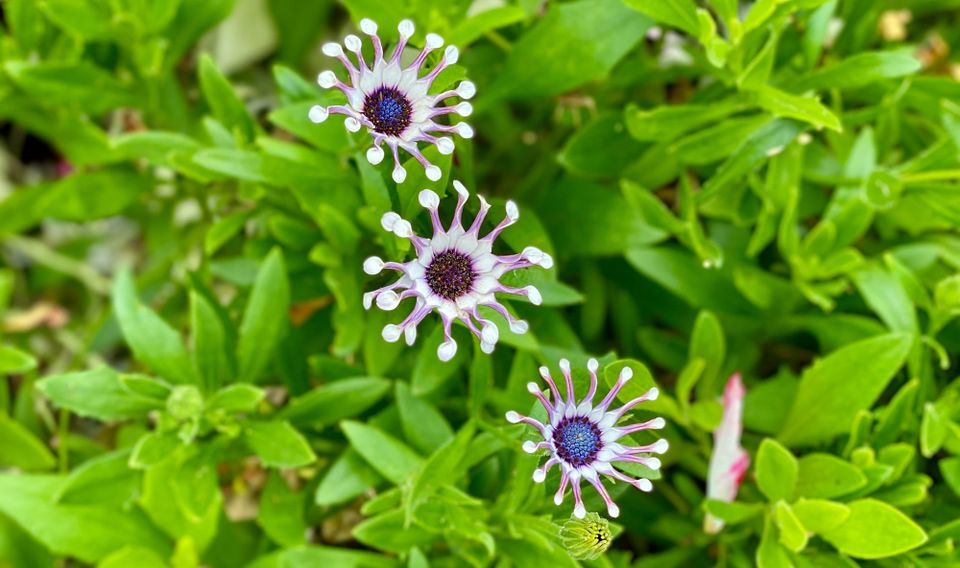 A New Faith: Part 2: Chapter 25