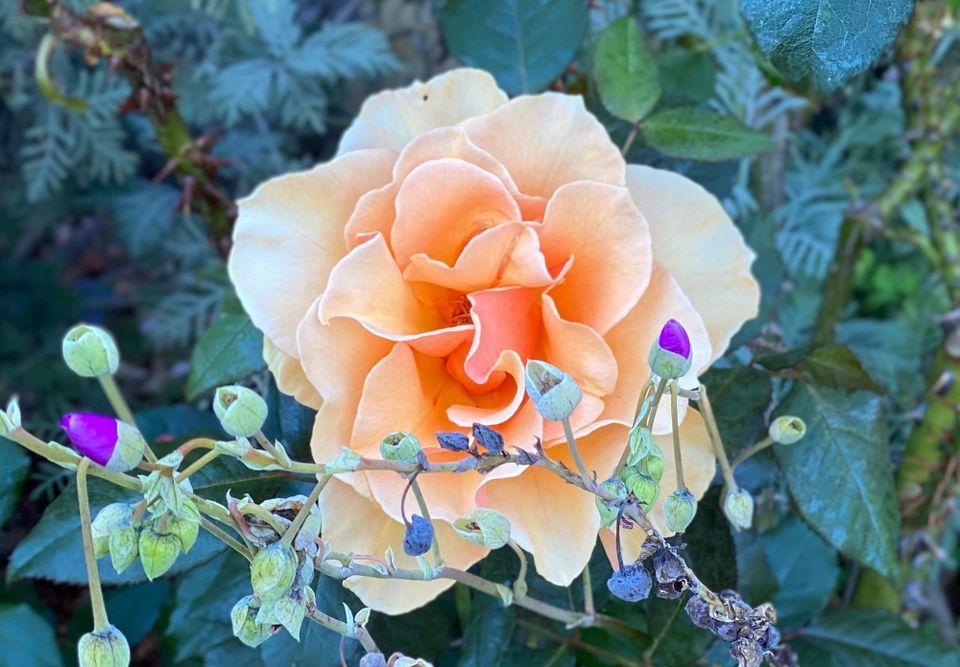 A New Faith: Part 2: Chapter 26