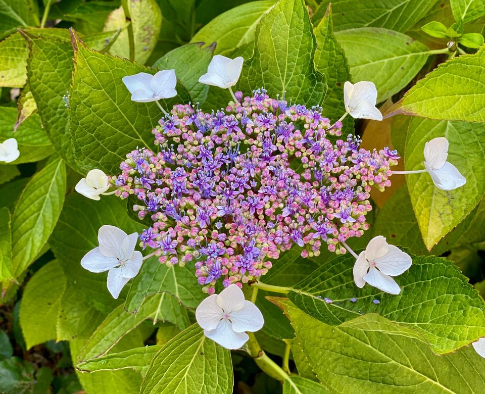 A New Faith: Part 3: Chapter 29