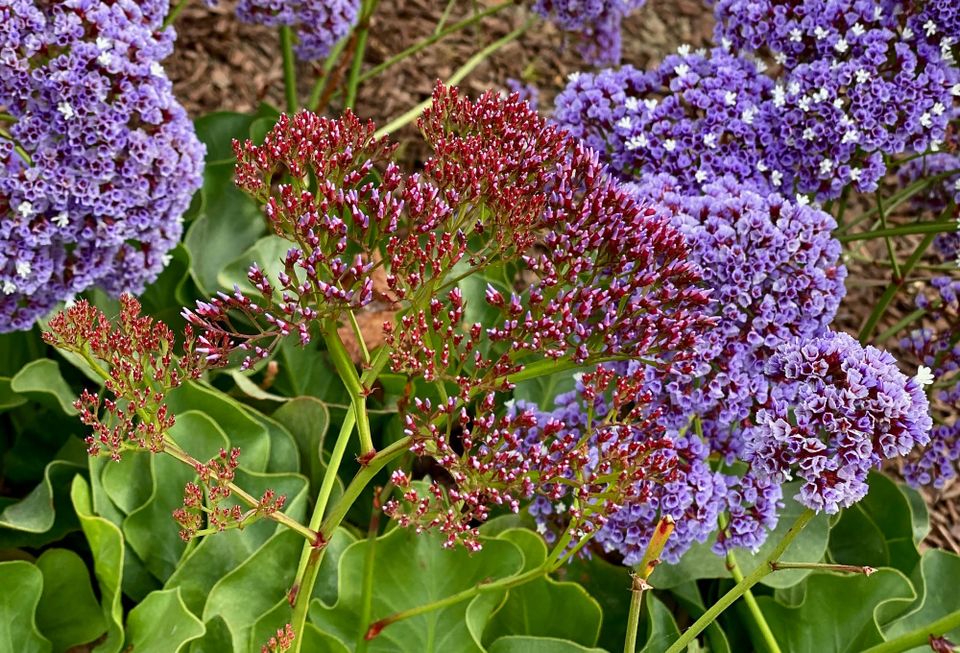 A New Faith: Part 2: Chapter 28