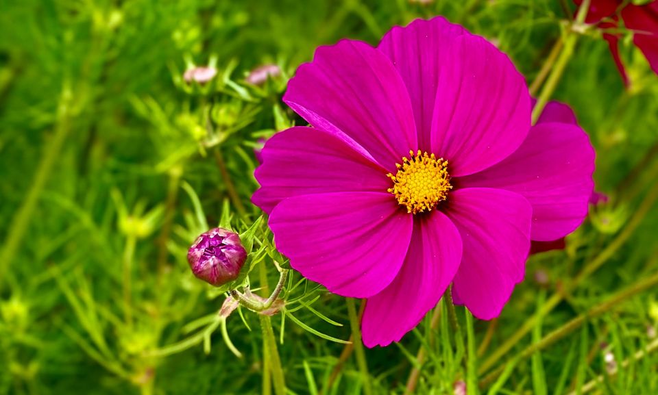 A New Faith: Part 3: Chapter 30