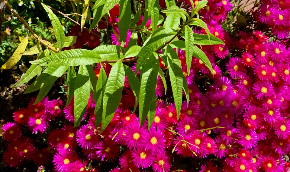 A New Faith: Part 1: Chapter 11