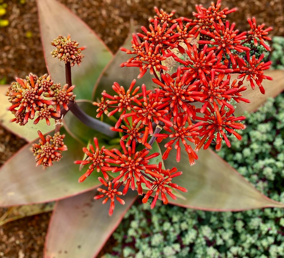 A New Faith: Part 3: Chapter 31