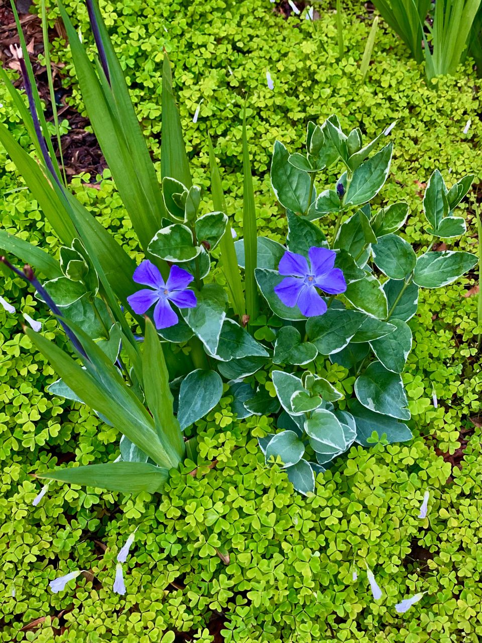 A New Faith: Part 3: Chapter 32