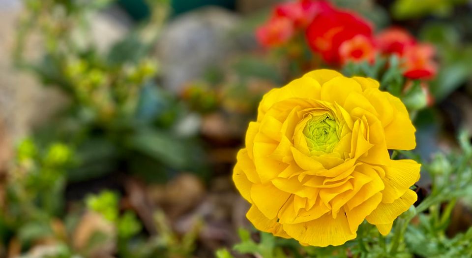 A New Faith: Part 3: Chapter 34