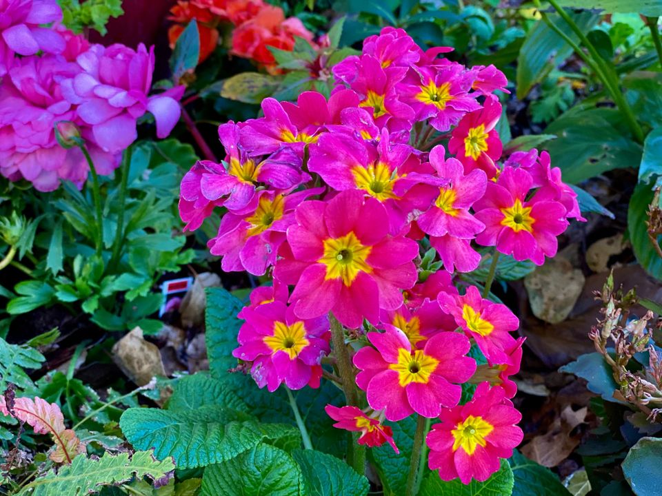 A New Faith: Part 3: Chapter 33