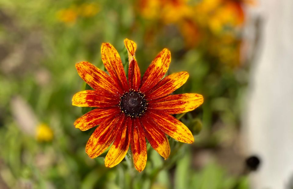 A New Faith: Part 3: Chapter 42