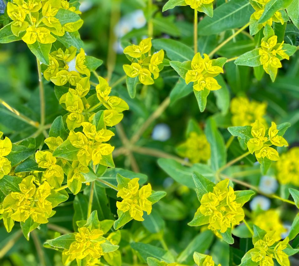 A New Faith: Part 3: Chapter 39