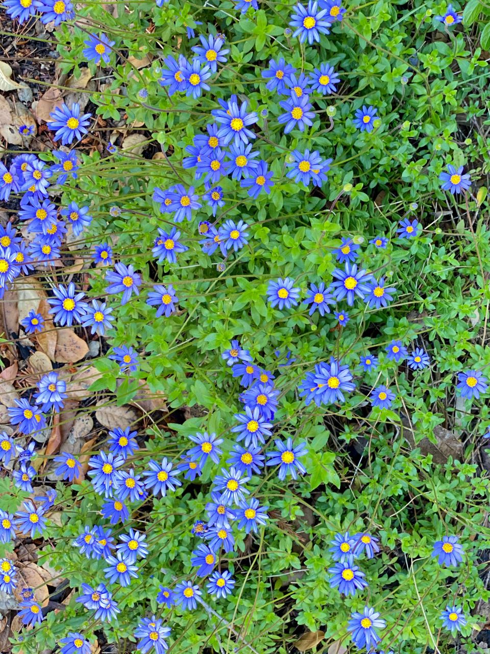 A New Faith: Part 3: Chapter 40