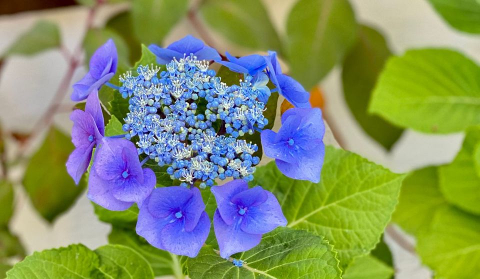 A New Faith: Part 3: Chapter 43