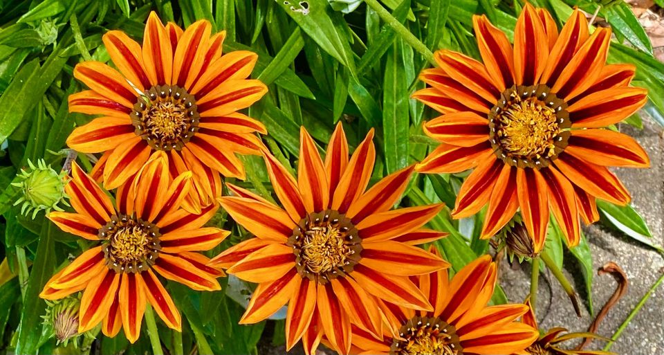 A New Faith: Part 3: Chapter 44