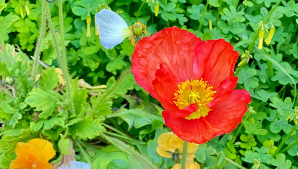 A New Faith: Part 1: Chapter 6