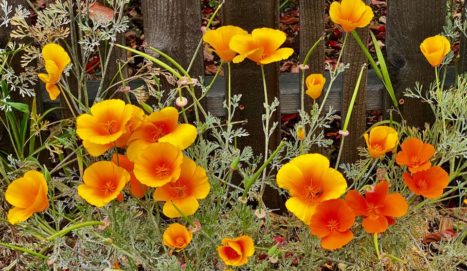 A New Faith: Part 1: Chapter 3