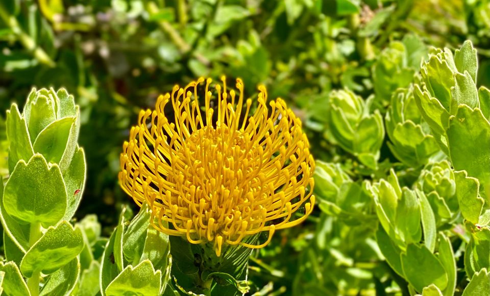 A New Faith: Part 1: Chapter 2