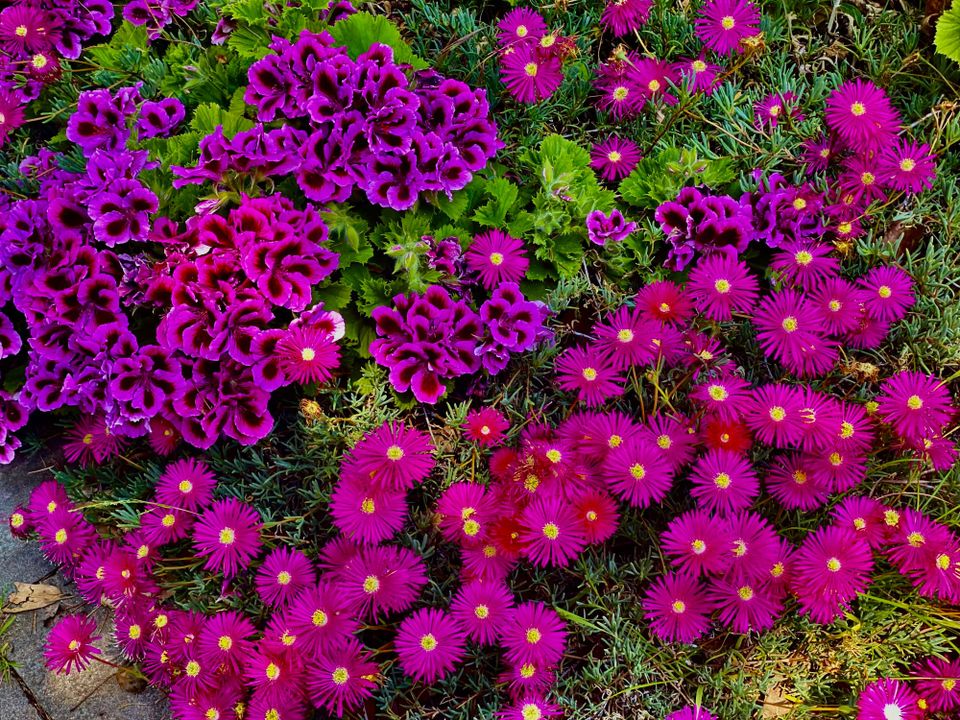 A New Faith: Part 1: Chapter 1