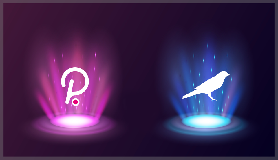 How to Bring Up a Polkadot/Kusama Validator Node with Snapshots.